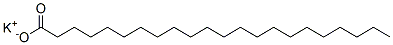 potassium docosanoate CAS#: 7211-53-2