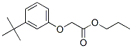 propyl [3-(1,1-dimethylethyl)phenoxy]acetate CAS#: 66227-09-6