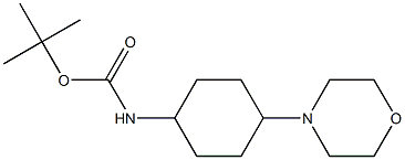 tert-butyl ((1r,4r)-4-Morpholinocyclohexyl)carbaMate CAS#: 558442-96-9