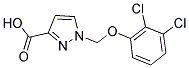 1-(2,3-DICHLORO-PHENOXYMETHYL)-1 H-PYRAZOLE-3-CARBOXYLIC ACID CAS#: 1004193-01-4