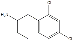1-(2,4-dichlorophenyl)butan-2-aMine CAS#: 1004284-08-5