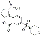 1-[4-(MORPHOLINE-4-SULFONYL)-2-NITRO-PHENYL]-PYRROLIDINE-2-CARBOXYLIC ACID CAS#: 1008006-09-4