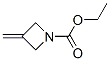 1-Azetidinecarboxylicacid,3-methylene-,ethylester(9CI) CAS#: 191282-73-2