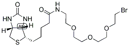 1-BIOTINYLAMINO-3,6,9-TRIOXAUNDECANE-11-BROMIDE CAS#: 1041766-91-9