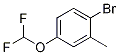 1-Bromo-4-(difluoromethoxy)-2-methylbenzene CAS#: 1021172-76-8