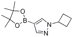 1-Cyclobutyl-4-(4,4,5,5-tetraMethyl-1,3,2-dioxaborolan-2-yl)-1H-pyrazole CAS#: 1002309-48-9
