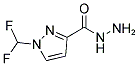 1-DIFLUOROMETHYL-1 H-PYRAZOLE-3-CARBOXYLIC ACID HYDRAZIDE CAS#: 1001567-68-5