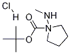 1-N-Boc-(R)-(methylamino)-pyrrolidine Hydrochloride CAS#: 1004538-35-5