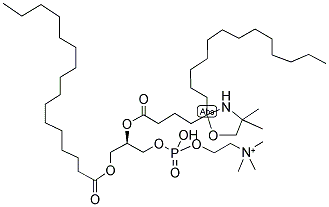 1-PALMITOYL-2-STEAROYL-(5-DOXYL)-SN-GLYCERO-3-PHOSPHOCHOLINE CAS#: 188004-24-2