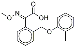 (αE)-α-(MethoxyiMino)-2-[(2-Methylphenoxy)Methyl]benzeneacetic Acid CAS#: 1007364-30-8