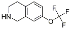 1,2,3,4-tetrahydro-7-(trifluoromethoxy)isoquinoline CAS#: 199678-30-3