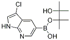 1H-3-CHLORO-PYRROLO[2,3-B]PYRIDINE-5-BORONIC ACID PINACOL ESTER CAS#: 1025719-17-8