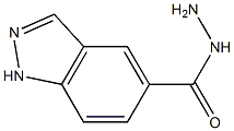 1H-INDAZOLE-5-CARBOHYDRAZIDE CAS#: 1005205-25-3