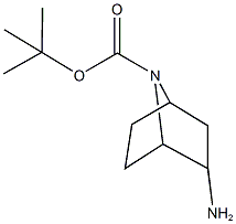 (1R,2R,4S)-rel-2-AMino-7-Boc-7-Azabicyclo[2.2.1]heptane CAS#: 1000870-15-4