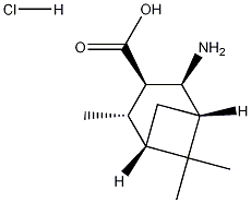 (1S,2S,3R,4S,5S)-2-AMINO-4,6,6-TRIMETHYLBICYCLO[3.1.1]HEPTANE-3-CARBOXYLIC ACID HYDROCHLORIDE CAS#: 1000304-41-5