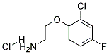 2-(2-CHLORO-4-FLUOROPHENOXY)ETHYLAMINE HYDROCHLORIDE CAS#: 1051919-33-5