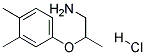 2-(3,4-DIMETHYLPHENOXY)-1-PROPANAMINE HYDROCHLORIDE CAS#: 1050508-86-5
