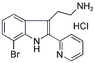 2-(7-BROMO-2-PYRIDIN-2-YL-1H-INDOL-3-YL)-ETHYLAMINE HYDROCHLORIDE CAS#: 1052405-41-0