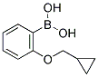 2-(CYCLOPROPYLMETHOXY)BENZENEBORONIC ACID CAS#: 1050510-36-5