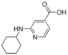 2-(Cyclohexylamino)isonicotinic acid CAS#: 1019461-35-8