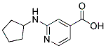 2-(Cyclopentylamino)isonicotinic acid CAS#: 1019127-19-5