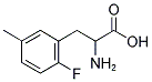 2-FLUORO-5-METHYL-DL-PHENYLALANINE CAS#: 1043500-50-0