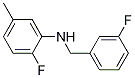 2-Fluoro-N-(3-fluorobenzyl)-5-Methylaniline, 97% CAS#: 1039824-92-4