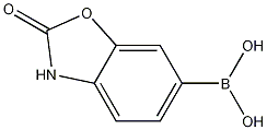 2-Oxo-2,3-dihydrobenzo[d]oxazol-6-yl-boronic acid CAS#: 1016644-38-4