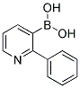 2-PHENYLPYRIDINE-3-BORONIC ACID CAS#: 1029654-14-5