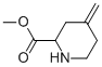 2-Piperidinecarboxylicacid,4-methylene-,methylester(9CI) CAS#: 187753-29-3