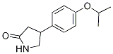 2-Pyrrolidinone, 4[4-(1-Methylethoxy)Phenyl] CAS#: 184828-11-3