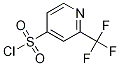 2-TRIFLUOROMETHYL-PYRIDINE-4-SULFONYL CHLORIDE CAS#: 1060811-17-7