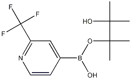 2-(TRIFLUOROMETHYL)PYRIDINE-4-BORONIC ACID PINACOL ESTER CAS#: 1036990-42-7