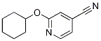 2-(cyclohexyloxy)isonicotinonitrile CAS#: 1016867-57-4