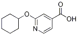 2-(cyclohexyloxy)pyridine-4-carboxylic acid CAS#: 1019353-19-5
