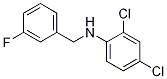 2,4-Dichloro-N-(3-fluorobenzyl)aniline, 97% CAS#: 1036576-63-2