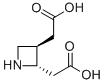 (2S,3S)-TRANS-3-(CARBOXYMETHYL)-AZETIDINE-2-ACETIC ACID CAS#: 185387-36-4