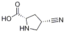 (2S,4S)-4-cyanopyrrolidine-2-carboxylic acid CAS#: 1001354-49-9