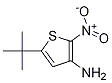 3-AMINO-5-TERT-BUTYL-2-NITRO-THIOPHENE CAS#: 1021443-95-7