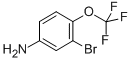 3-BROMO-4-(TRIFLUOROMETHOXY)ANILINE CAS#: 191602-54-7