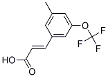 3-METHYL-5-(TRIFLUOROMETHOXY)CINNAMIC ACID CAS#: 1005378-68-6
