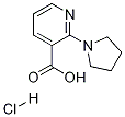 3-Pyridinecarboxylic acid, 2-(1-pyrrolidinyl)-, hydrochloride CAS#: 1052549-87-7