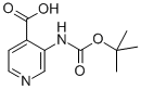 3-TERT-BUTOXYCARBONYLAMINO-ISONICOTINIC ACID CAS#: 179024-65-8