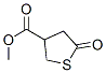 3-Thiophenecarboxylicacid,tetrahydro-5-oxo-,methylester(9CI) CAS#: 192879-21-3