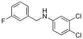 3,4-Dichloro-N-(3-fluorobenzyl)aniline, 97% CAS#: 1036555-59-5