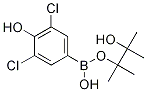 3,5-Dichloro-4-hydroxyphenylboronic acid pinacol ester CAS#: 1003298-87-0