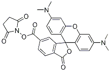 3',6'-Bis(diMethylaMino)-3-oxospiro[isobenzofuran-1(3H),9'-[9H]xanthene]-6-carboxylic Acid 2,5-Dioxo-1-pyrrolidinyl Ester CAS#: 1027512-41-9