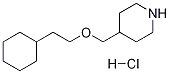 4-[(2-CYCLOHEXYLETHOXY)METHYL]PIPERIDINEHYDROCHLORIDE CAS#: 1051919-42-6