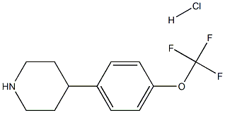 4-(4-(TrifluoroMethoxy)phenyl)piperidine hydrochloride CAS#: 1004618-85-2