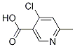 4-Chloro-6-Methylnicotinic acid CAS#: 1060805-95-9